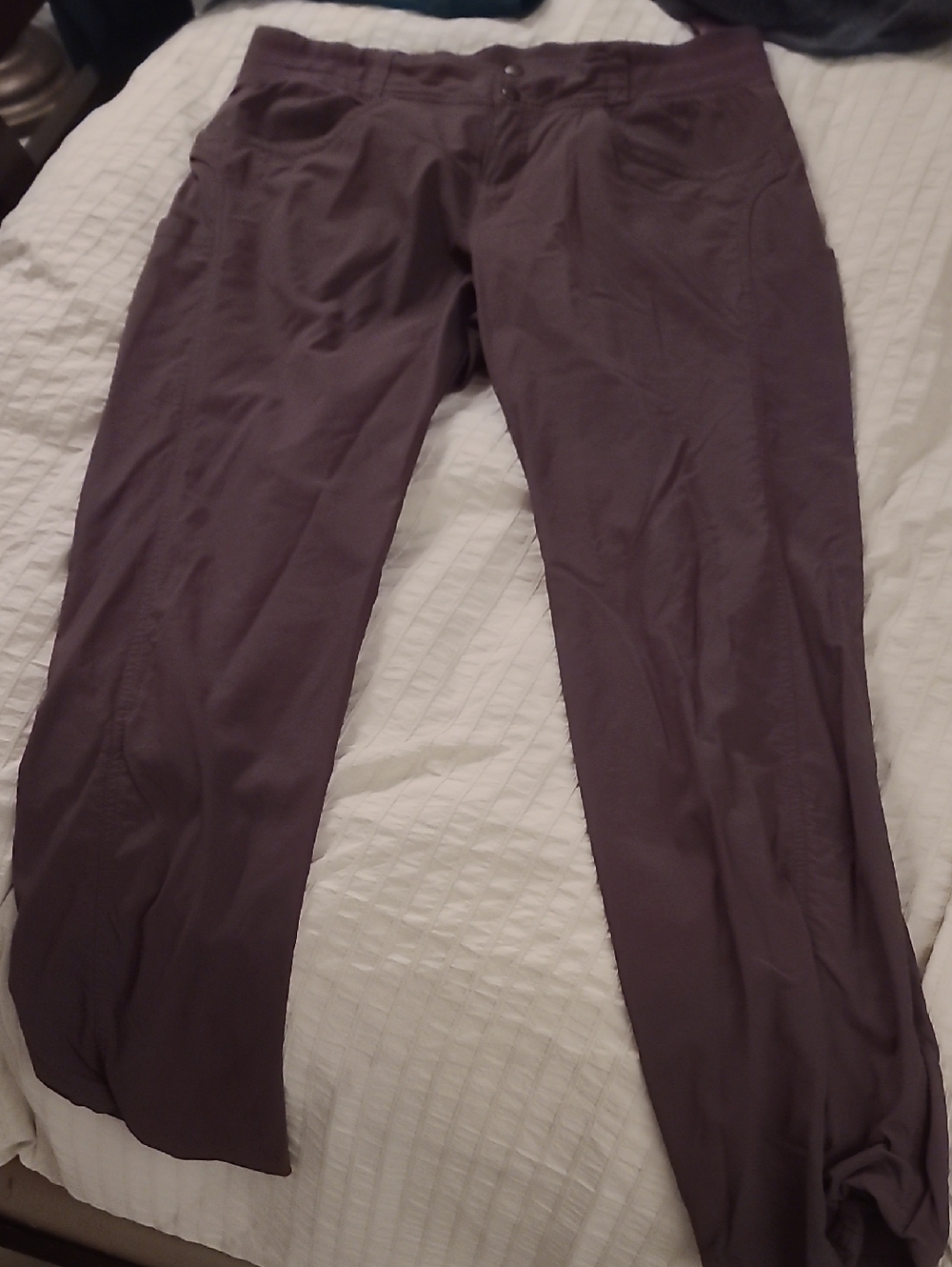 Title nine Clamber Pants in Plum
